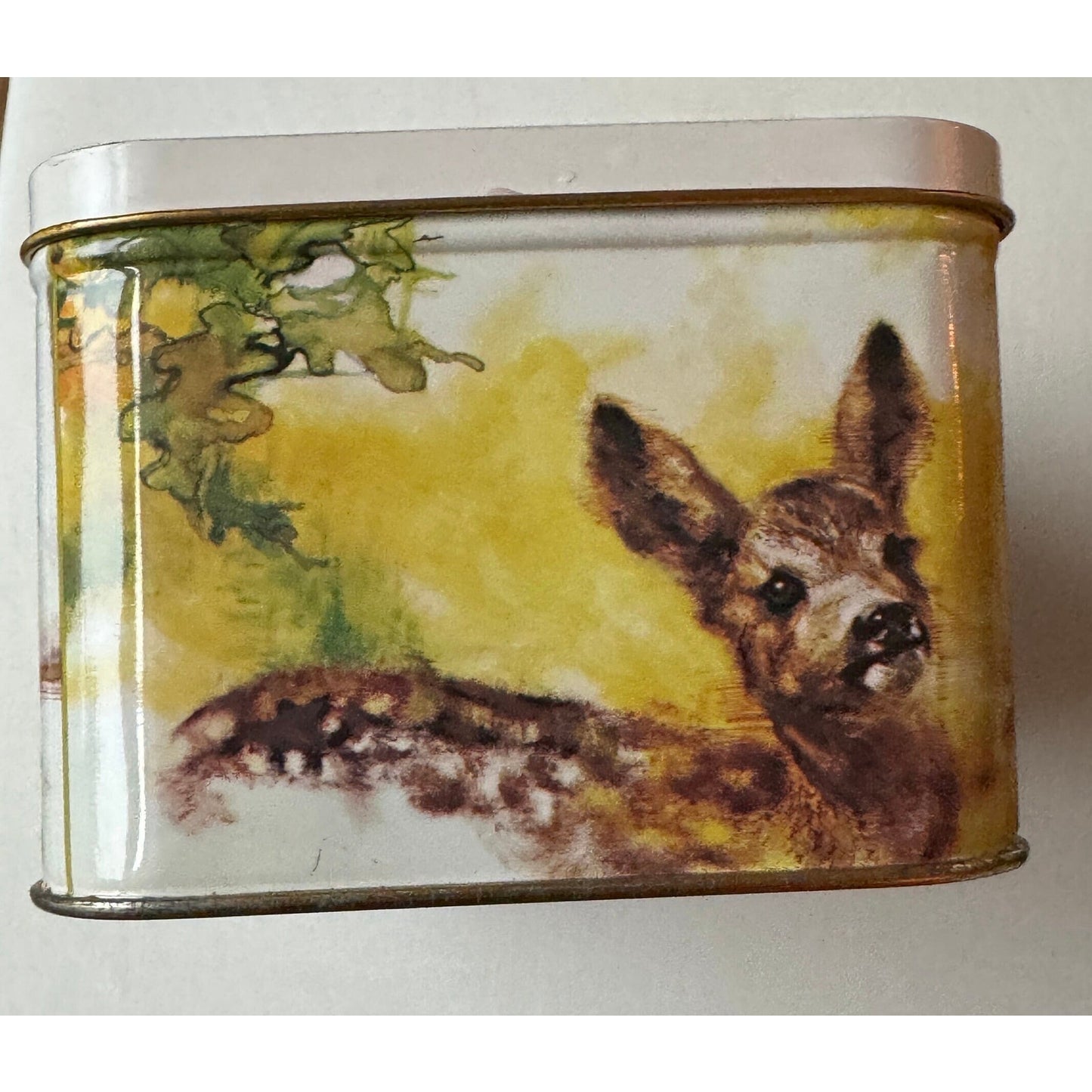 Decorative Collectible Tin with Rien Poortvliet Print made by Royco