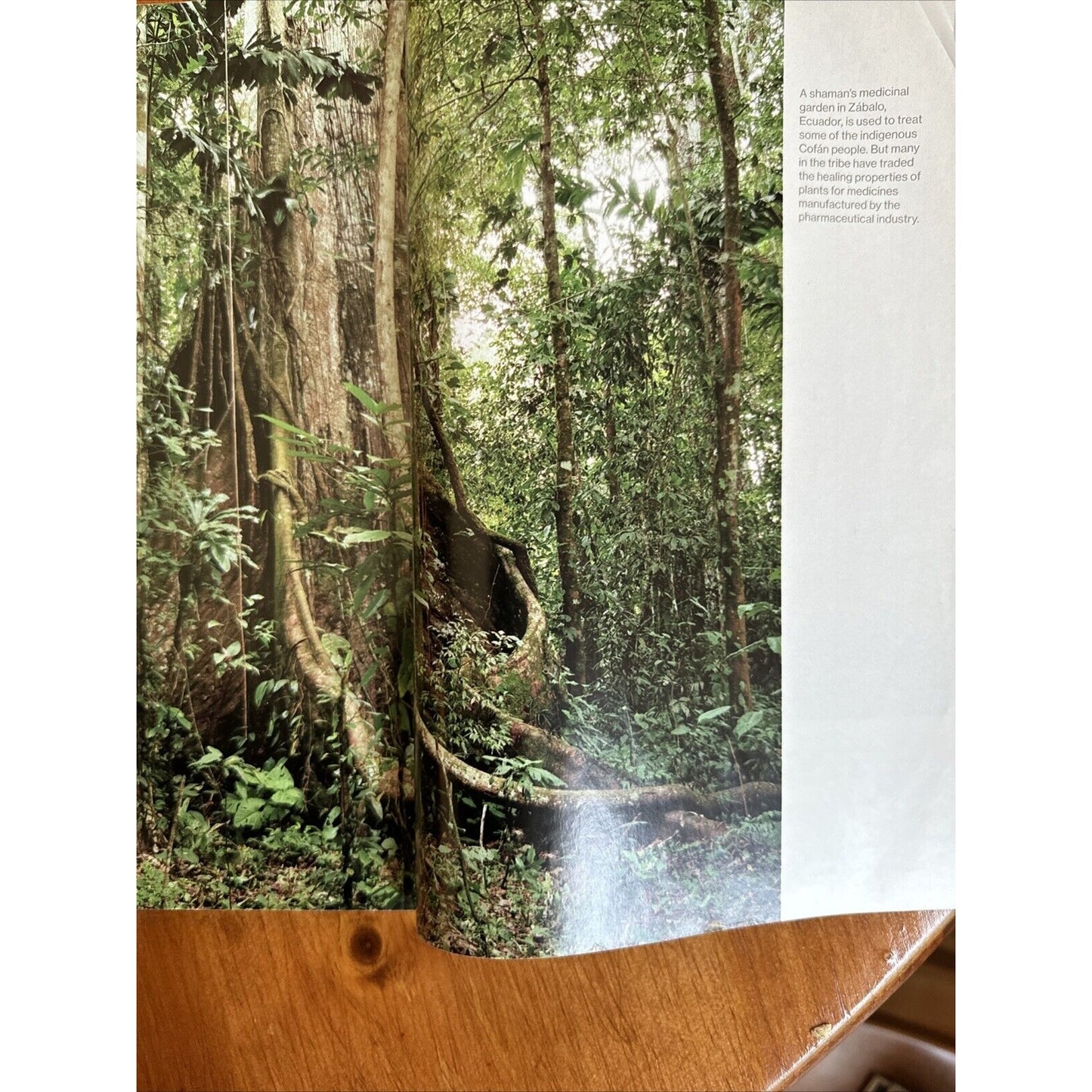 National Geographic MagazinecFebruary 2017 The Birth of Booze Amazonia