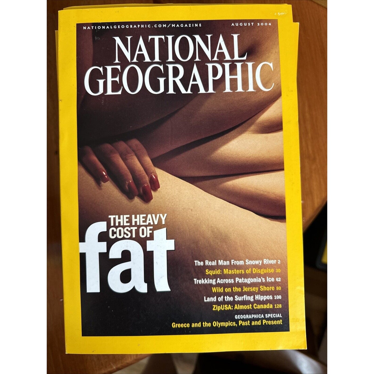 Vintage Magazine National Geographic 2004 - Full Set of 12 in Cases w 3 Posters