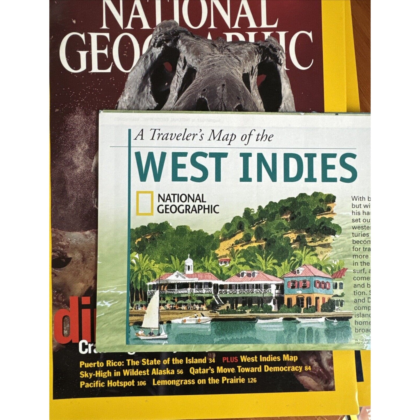 Vintage Magazines National Geographic 2003 Collectible Cases ~ 12 Issues 2 Maps