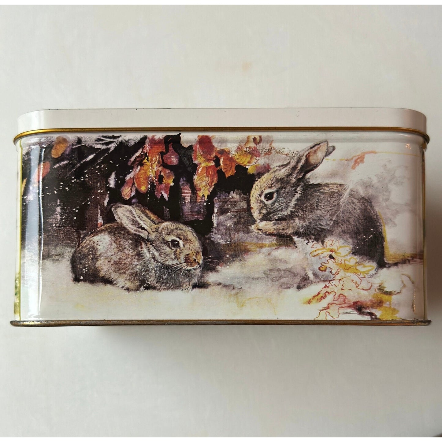 Decorative Collectible Tin with Rien Poortvliet Print made by Royco