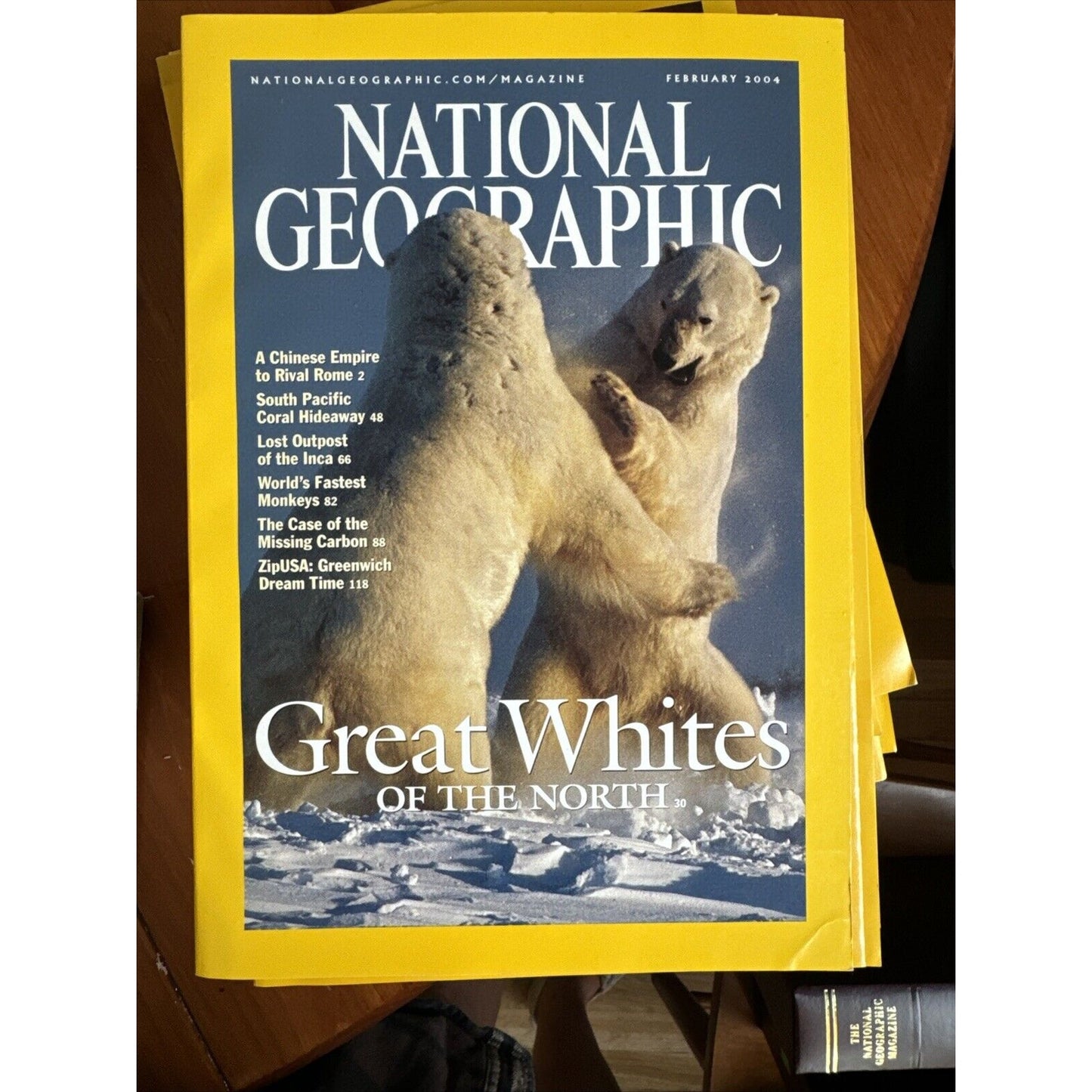 Vintage Magazine National Geographic 2004 - Full Set of 12 in Cases w 3 Posters