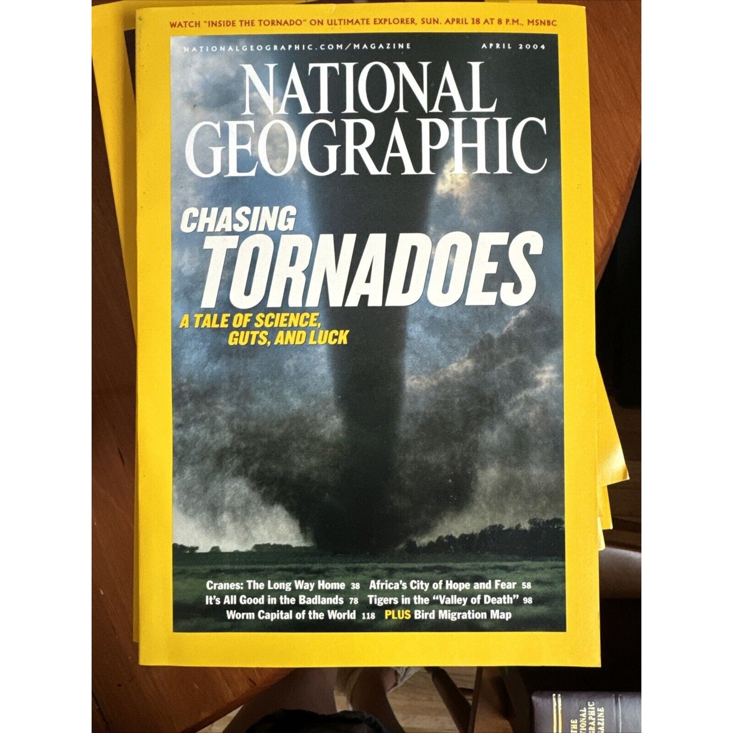 Vintage Magazine National Geographic 2004 - Full Set of 12 in Cases w 3 Posters