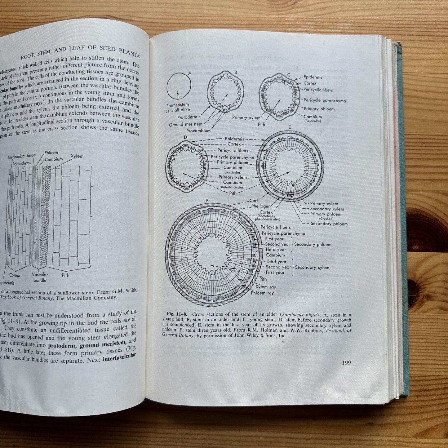 General Biology: Fifth Edition First Printing ~ James Watt Mavor 1959 Hardcover