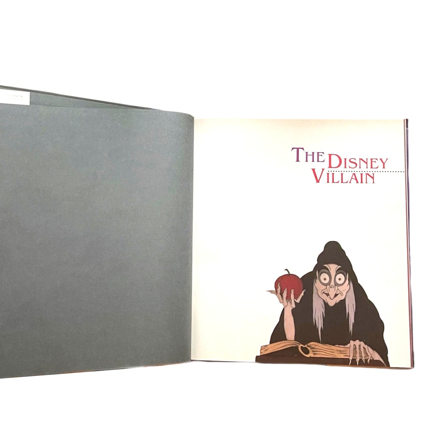 The Disney Villain by Ollie Johnston and Frank Thomas – 1993 First Edition Hardcover with Dust Jacket