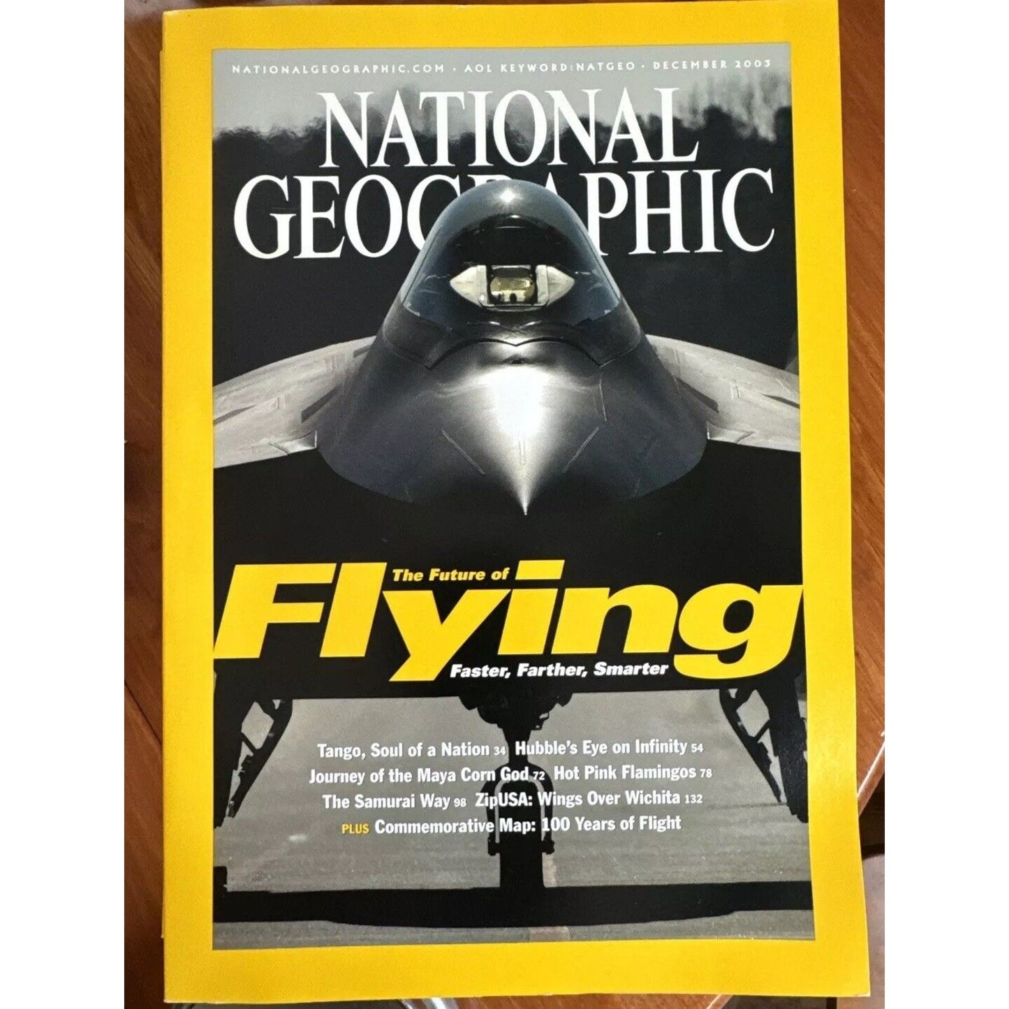 Vintage Magazines National Geographic 2003 Collectible Cases ~ 12 Issues 2 Maps