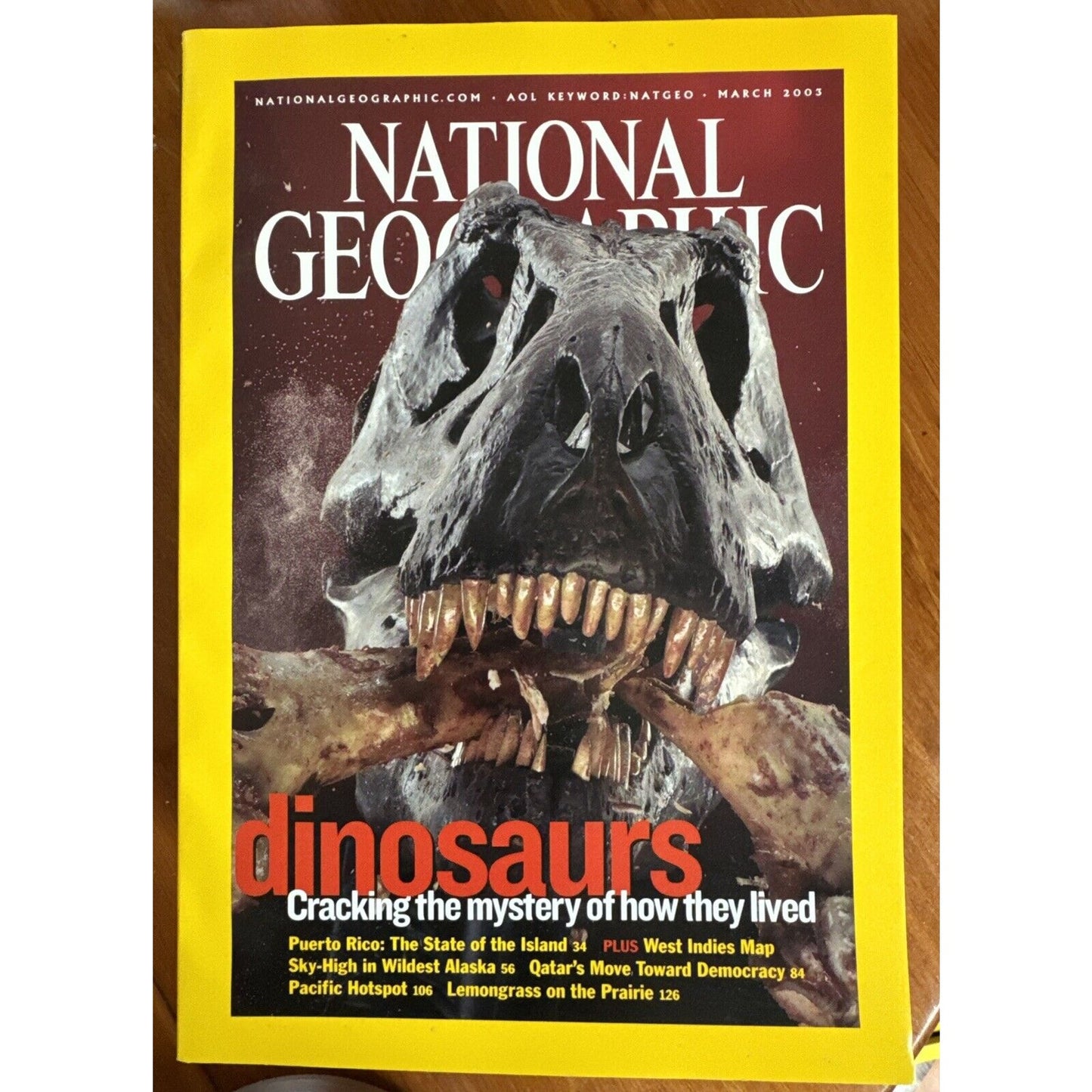 Vintage Magazines National Geographic 2003 Collectible Cases ~ 12 Issues 2 Maps