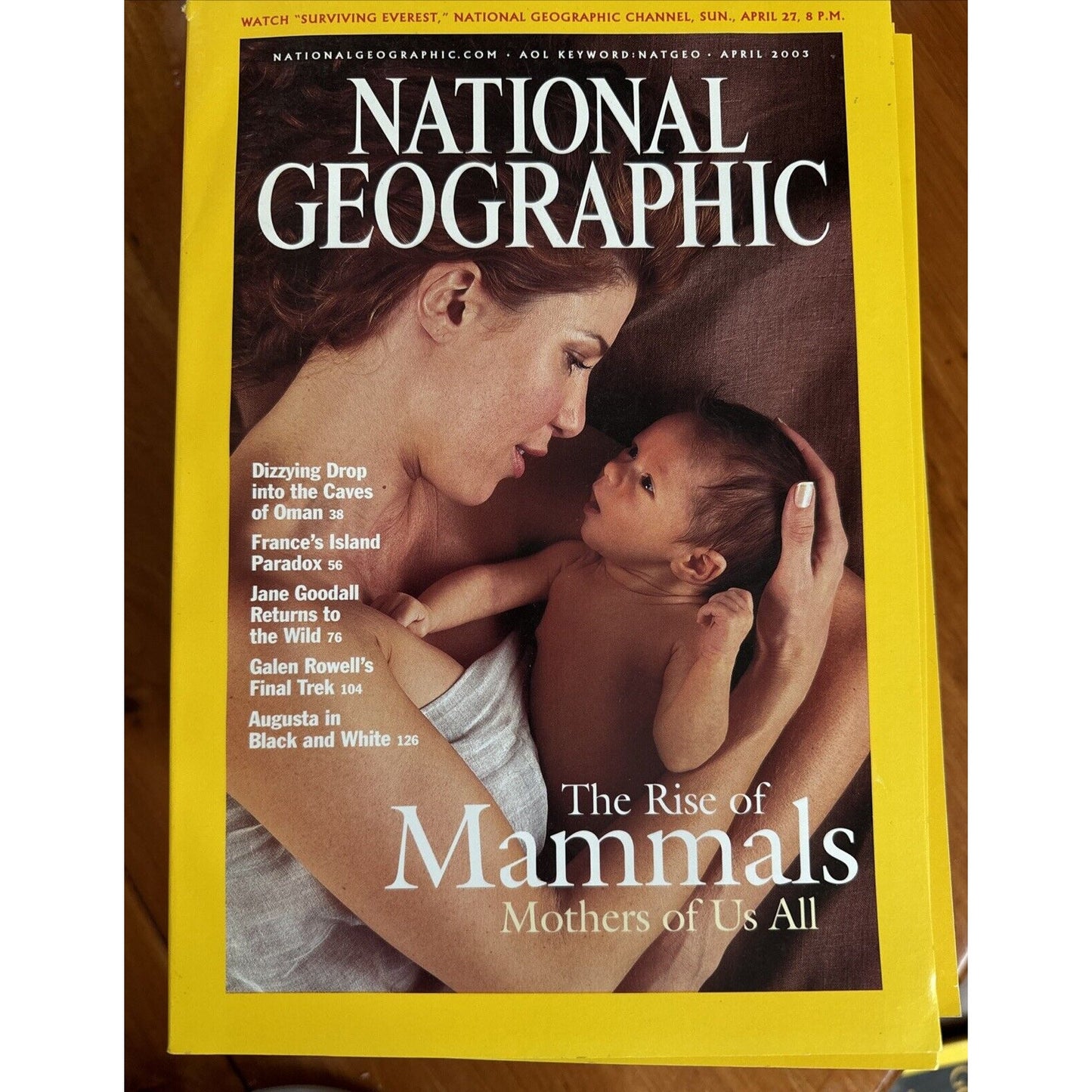 Vintage Magazines National Geographic 2003 Collectible Cases ~ 12 Issues 2 Maps