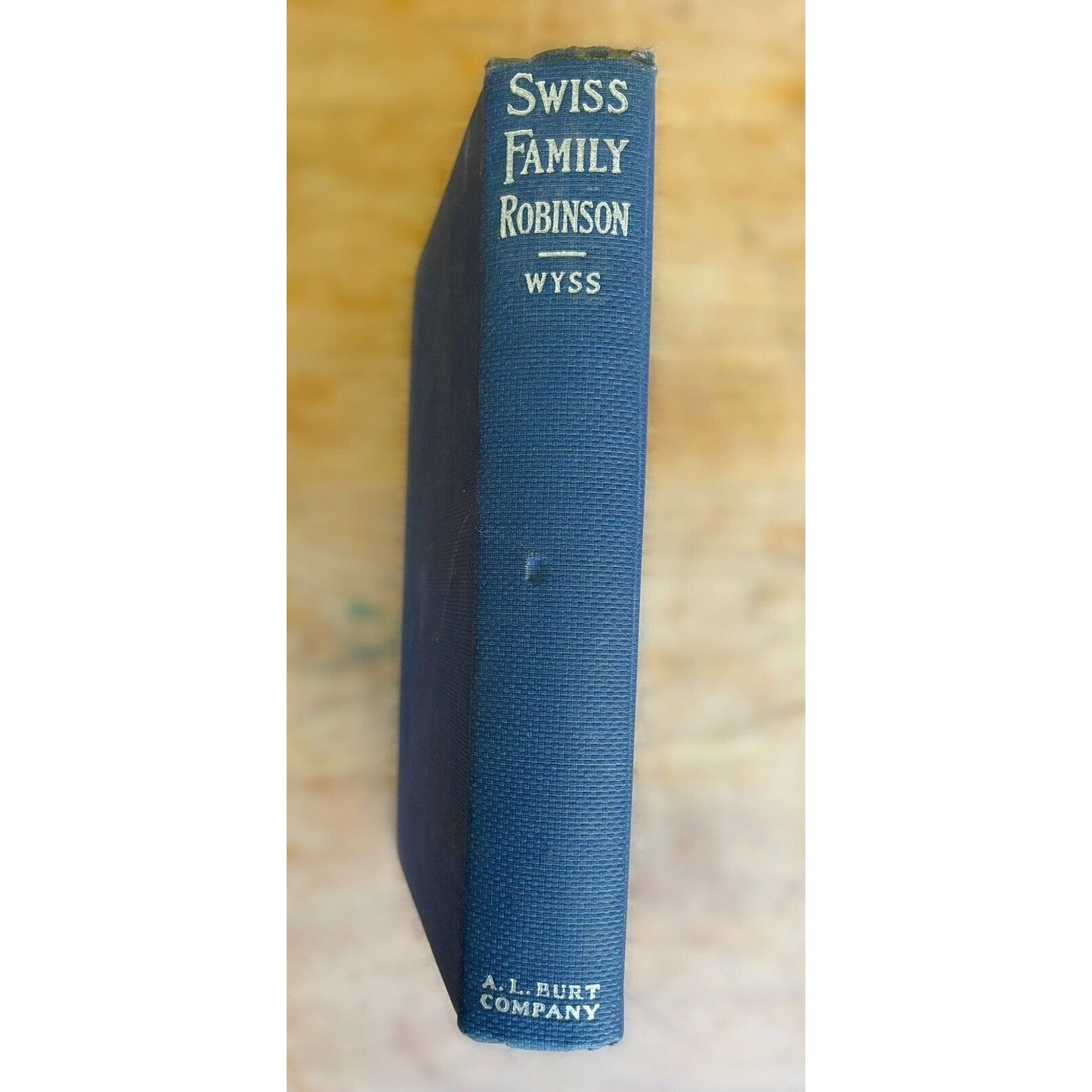 Antique Book Swiss Family Robinson - by Jean Rudolph Wyss, A. L. Burt 1920 HC VG