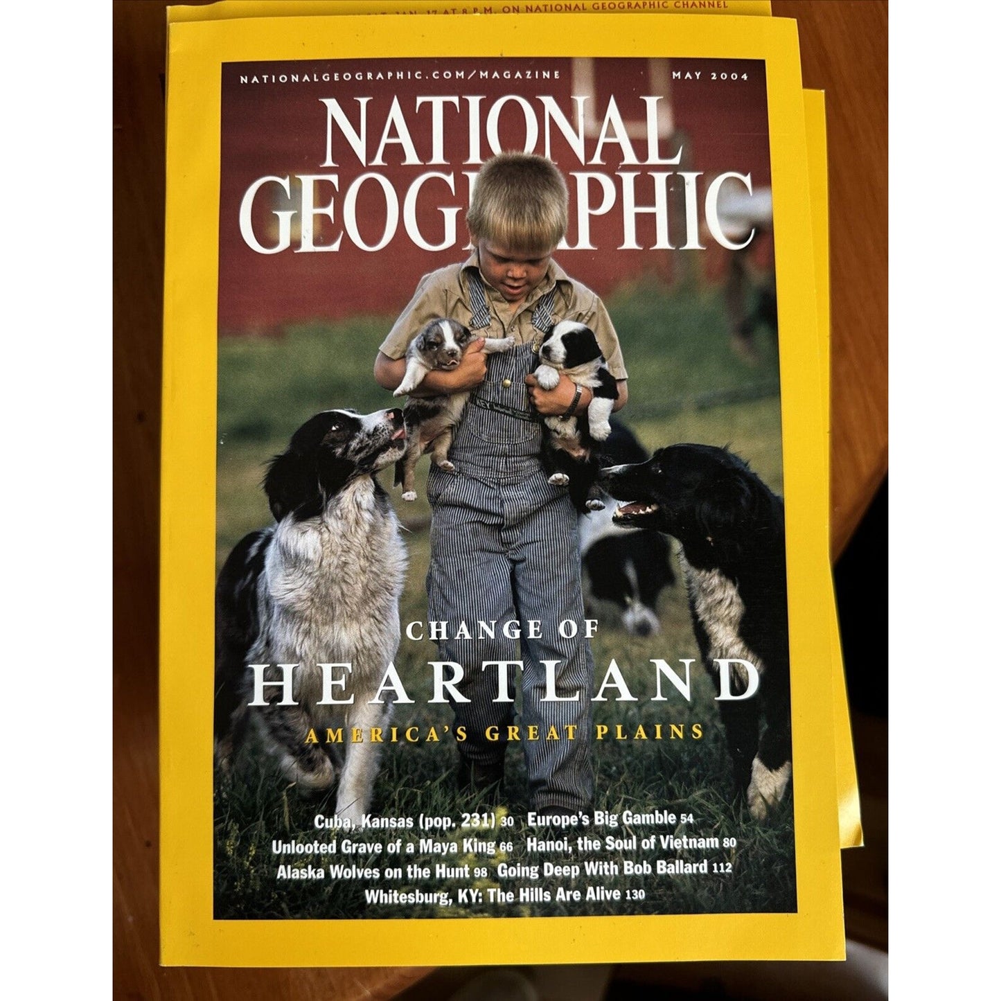 Vintage Magazine National Geographic 2004 - Full Set of 12 in Cases w 3 Posters