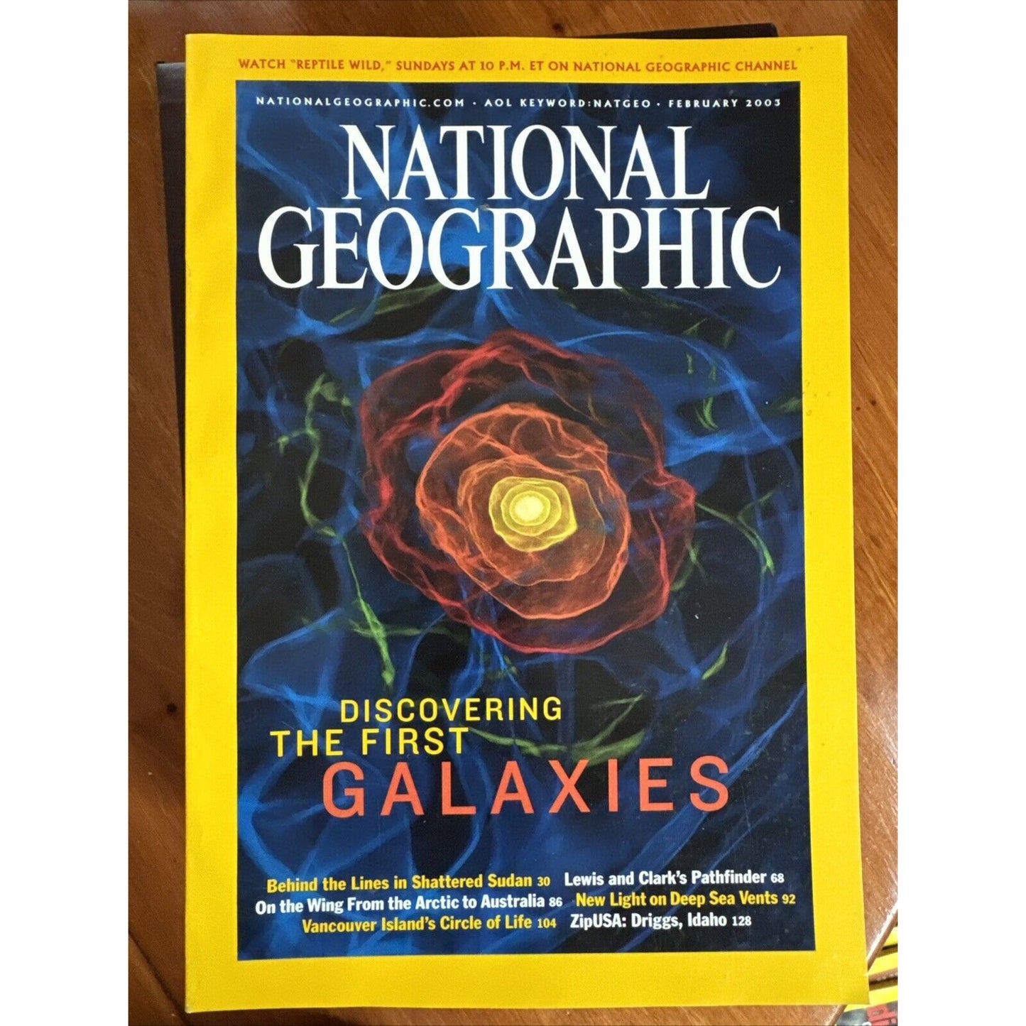 Vintage Magazines National Geographic 2003 Collectible Cases ~ 12 Issues 2 Maps