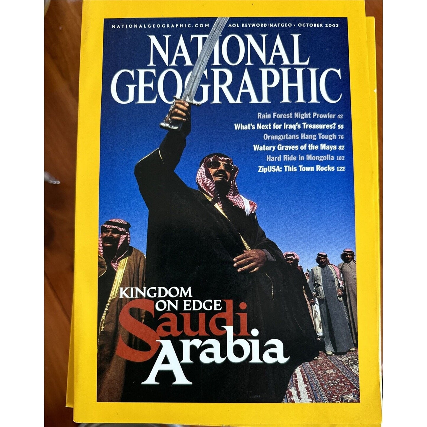 Vintage Magazines National Geographic 2003 Collectible Cases ~ 12 Issues 2 Maps