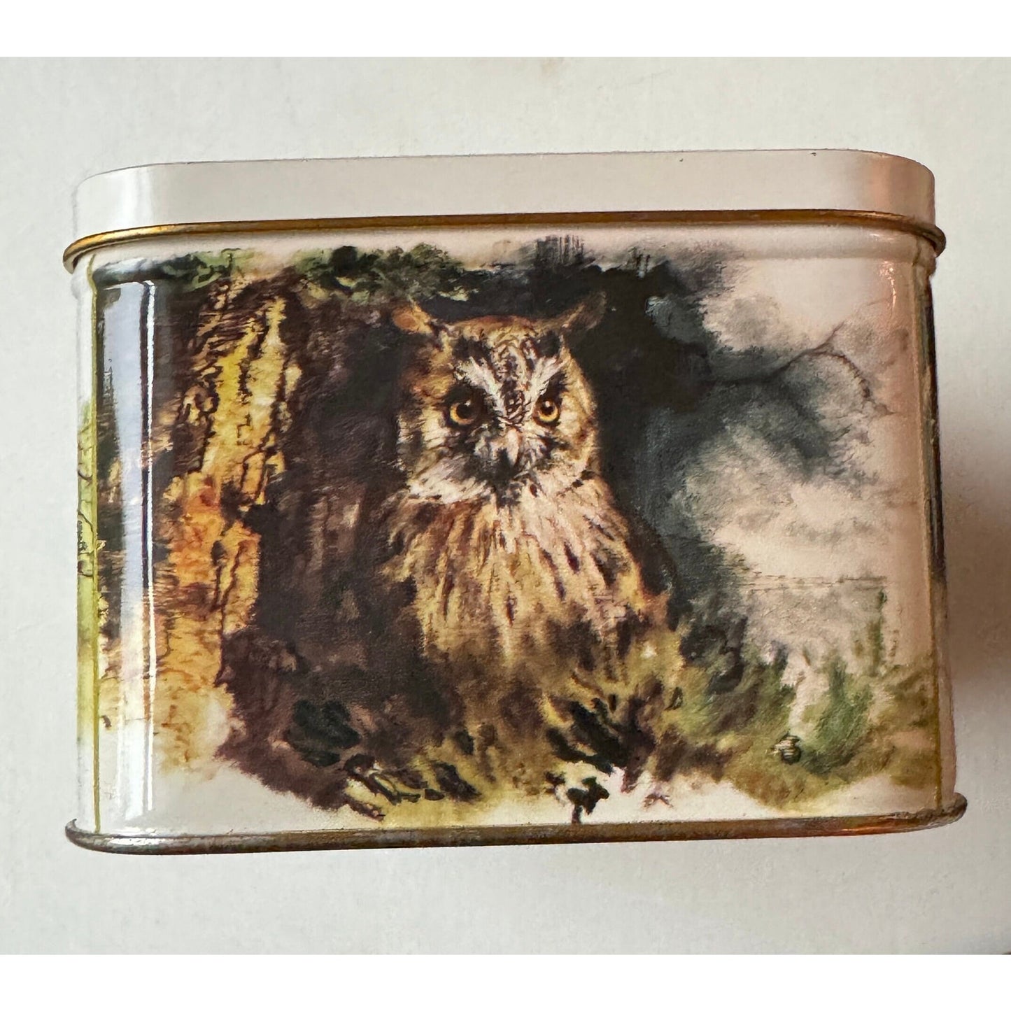 Decorative Collectible Tin with Rien Poortvliet Print made by Royco