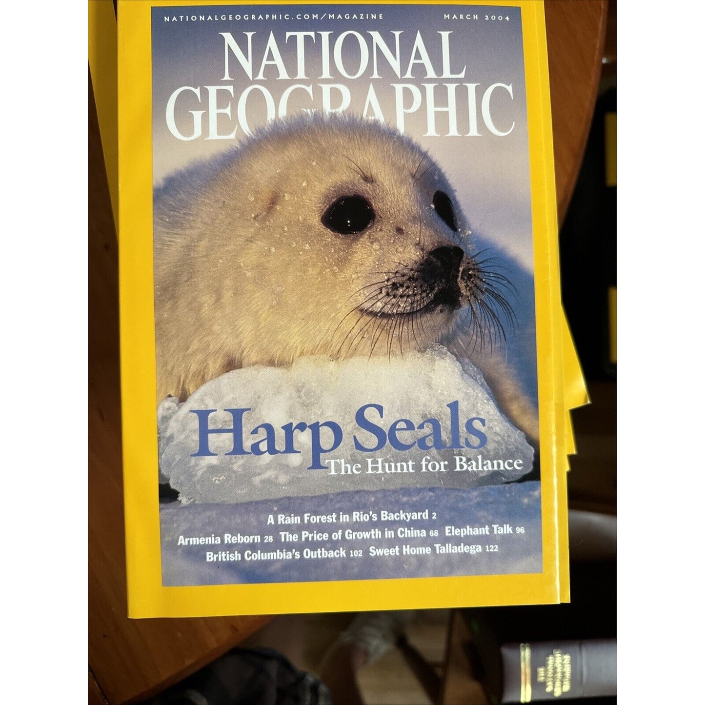 Vintage Magazine National Geographic 2004 - Full Set of 12 in Cases w 3 Posters