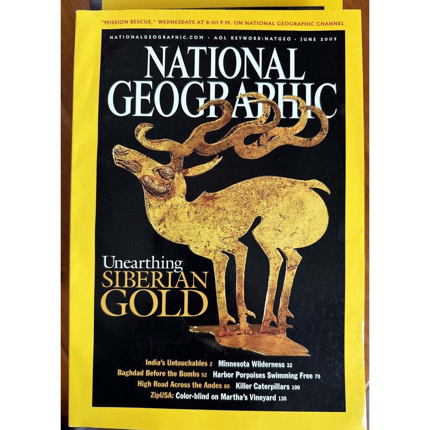 Vintage Magazines National Geographic 2003 Collectible Cases ~ 12 Issues 2 Maps