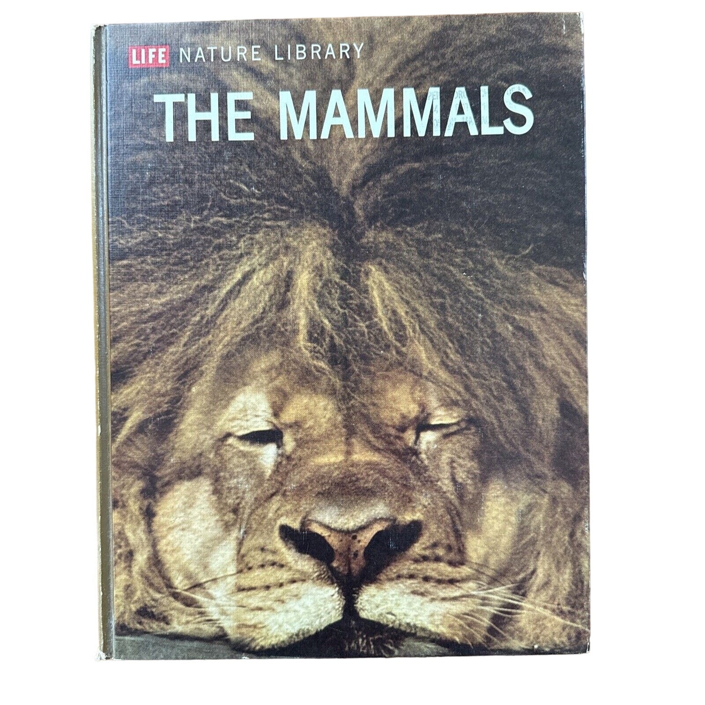 Vintage Time Life 1963-1964 Lot of 4 Hardcovers- Mammals, Birds, Africa, Eurasia