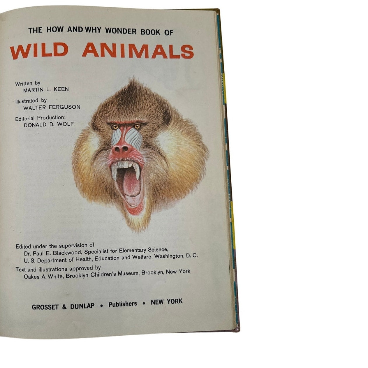 The Wonder Book of Wild Animals 1962 - Vintage Children’s Educational Book