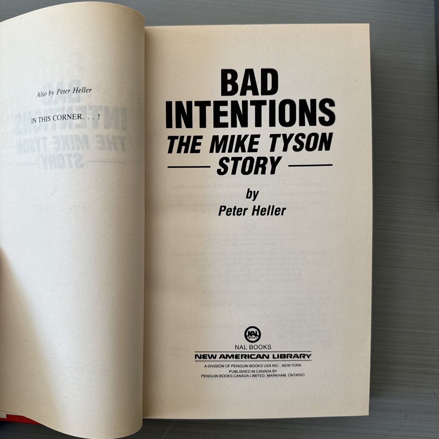 Bad Intentions The Mike Tyson Story Peter Heller 1989 HCDJ First Ed First Print