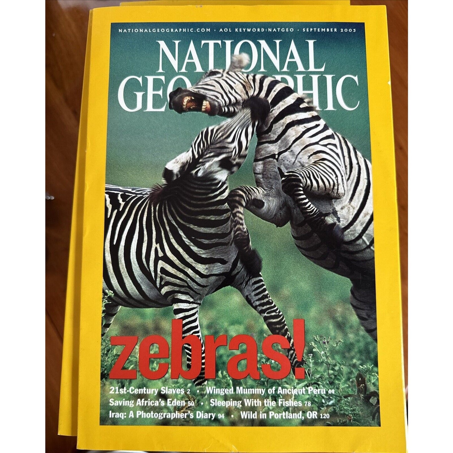 Vintage Magazines National Geographic 2003 Collectible Cases ~ 12 Issues 2 Maps